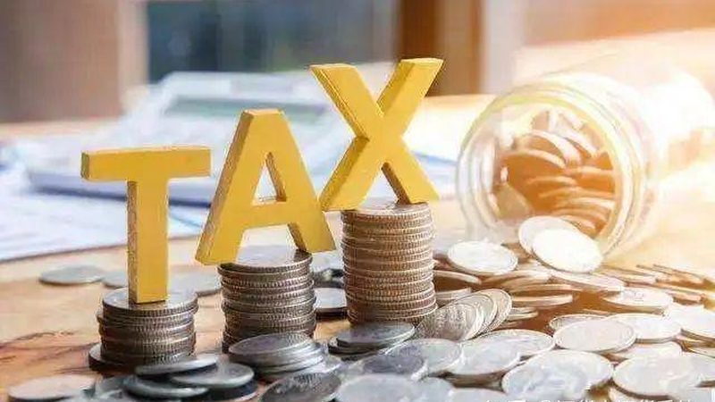 2025年个人注册公司全攻略：流程详解与费用解析